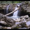 177-7775_IMG
